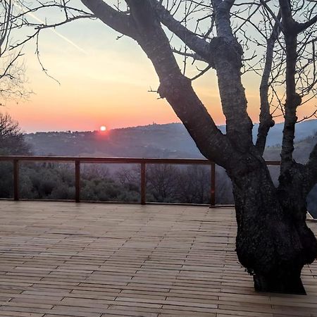 "Cara Pace" In Collina Per Famiglie Bed & Breakfast Montefiore Conca Bagian luar foto