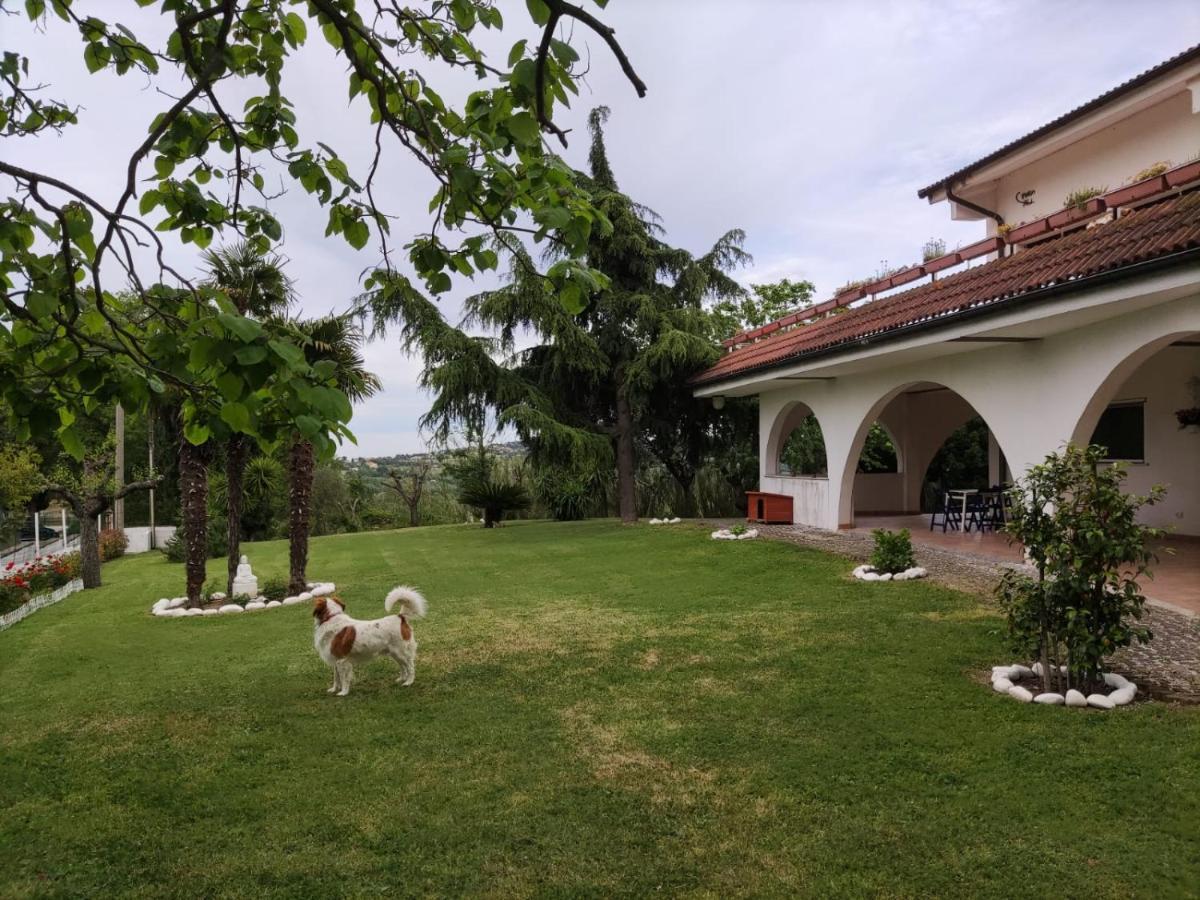 "Cara Pace" In Collina Per Famiglie Bed & Breakfast Montefiore Conca Bagian luar foto